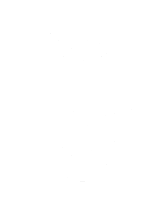 THE KING GIN 